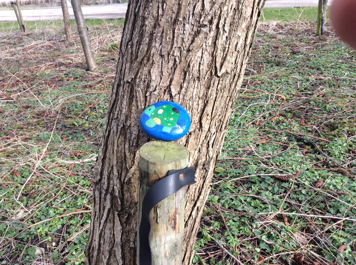 BpsSeek's tweet photo. .....and some more to find around Banff #Kindness rocks @Banff Primary School https://t.co/RtV6H8OnuV