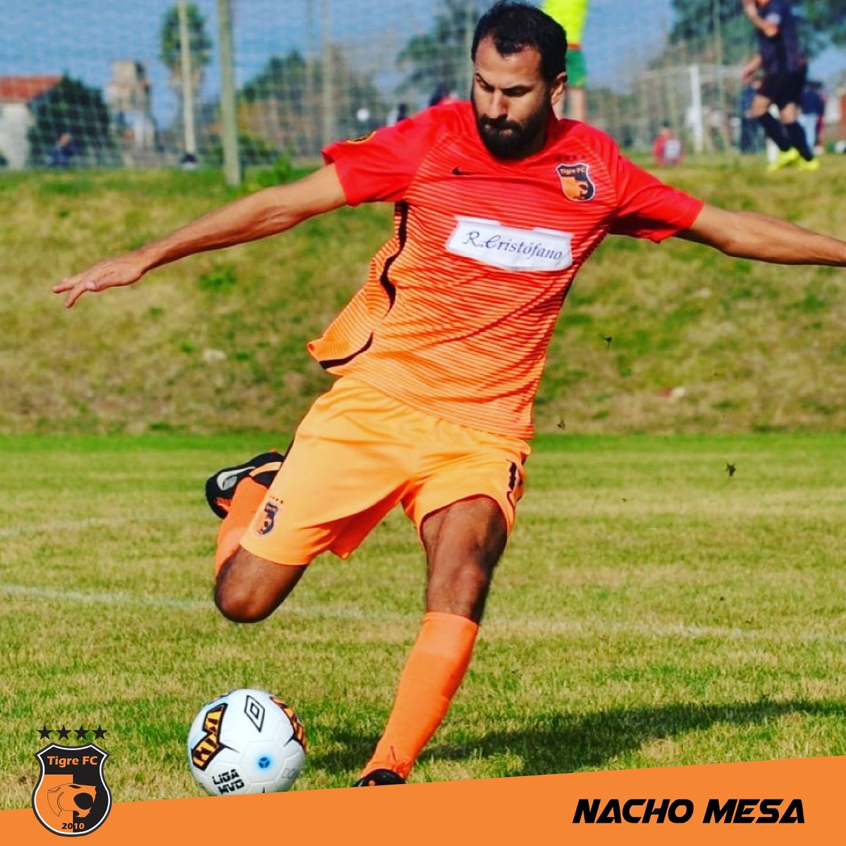 Napoleón. La zaga cuenta con un  estratega que siempre está bien ubicado, un icono de este equipo. Nacho Mesa es otro de los confirmados para este 2020 repleto de históricos Tigrenses. <a href="/tigre_fc/">El Tigre FC</a> #10años