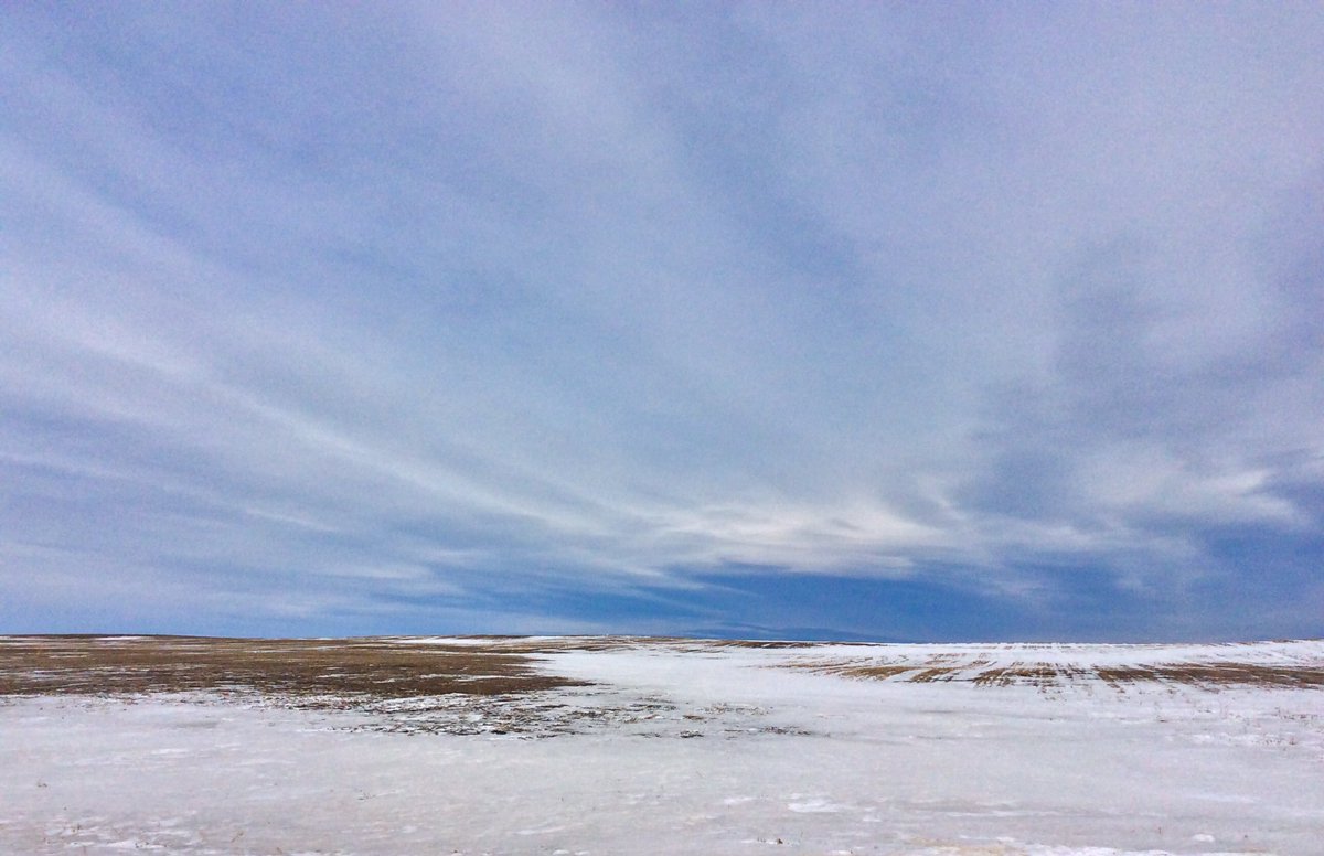 ABBestphotos's tweet photo. Can you find the snowy owl? Hint the teeny white dot on the horizon. Heβs out soaking up the sun as the snow eater is busy today, theyβre on the move, saw 4 in 3 sections. π #chinook #ISmellSpring https://t.co/8F7ee89YKZ