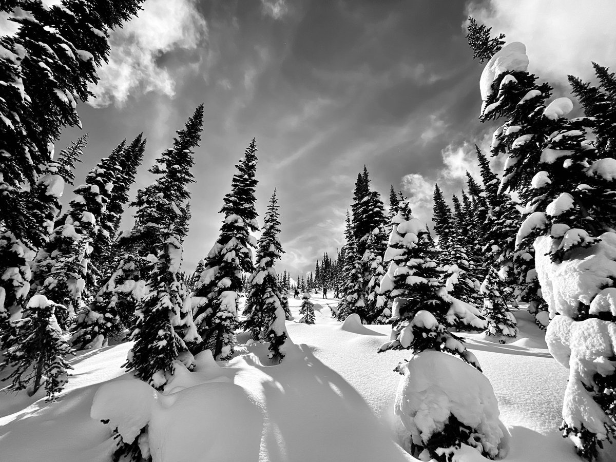 RDCrispPhoto's tweet photo. Touring in mono with @TheSkiClub out of @whistlerblackcomb #backcountry #skiclubphotos #backcountryskiing #whistlerblackcomb #musicalbumps https://t.co/zOq0tJl9N4