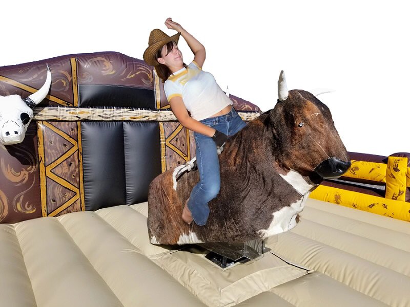 ZambeziFest's tweet photo. Should we have a bull riding competition @ Zambezi fest this year???
#zambezifest https://t.co/q7g7tWb6Lg
