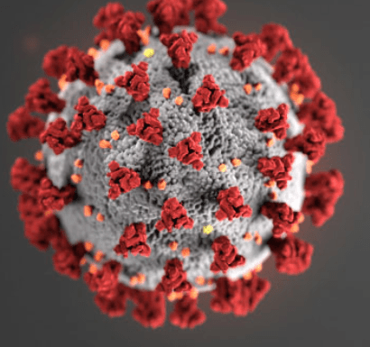 SixPersimmonsAp's tweet photo. #Coronavirus #COVIDー19 : Research in China shows that when Traditional Chinese Medicine was used in conjunction with Western Medicine, the outcomes are superior.

David Scrimgeour, LAc's newsletter on this subject: https://t.co/UjGQePe3pd

https://t.co/wbvGDacYEn https://t.co/4MsgSwInIH