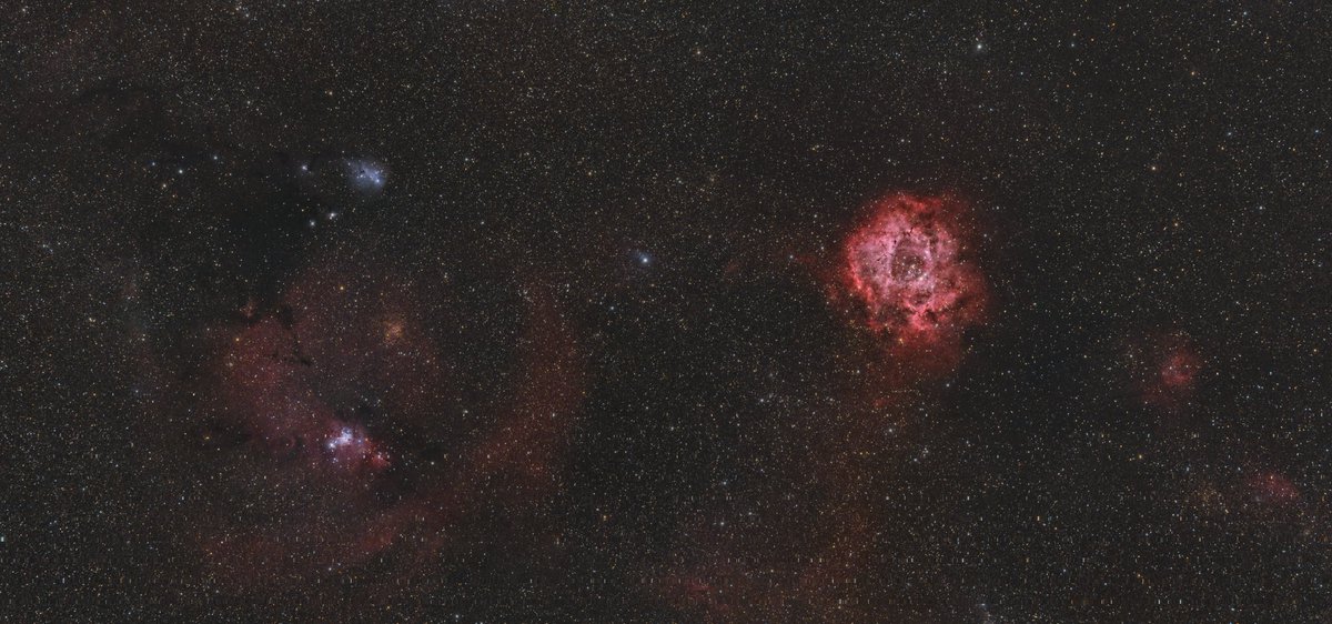 ForaaaxX's tweet image. 