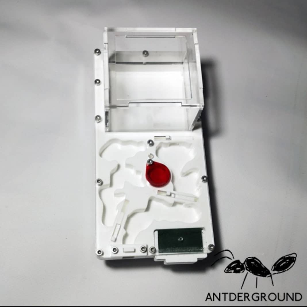 antderground's tweet photo. Ya somos 4 seguidores!!! Jejeje.
Para vosotros, hos preae to el nuevo 10 x 20, puertas correderas. Acrílico opaco. 1,2 cm de altura. Seta. Esponja... Súper versatil
Disponible en https://t.co/a2hmAVjlWt
#Hormigueros #hormigas #ants #antderground #amigosdelashormigas https://t.co/w592U2SG0Z