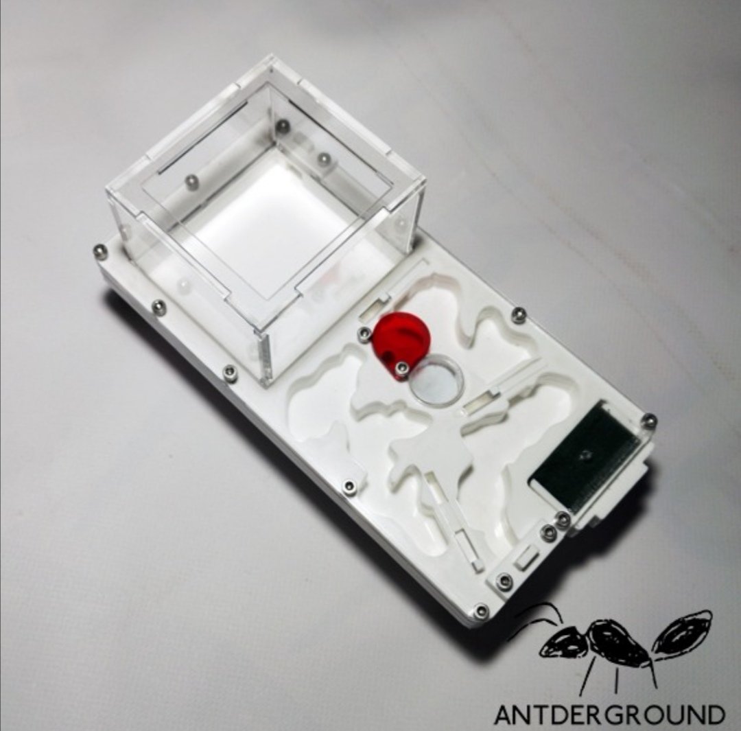 antderground's tweet photo. Ya somos 4 seguidores!!! Jejeje.
Para vosotros, hos preae to el nuevo 10 x 20, puertas correderas. Acrílico opaco. 1,2 cm de altura. Seta. Esponja... Súper versatil
Disponible en https://t.co/a2hmAVjlWt
#Hormigueros #hormigas #ants #antderground #amigosdelashormigas https://t.co/w592U2SG0Z