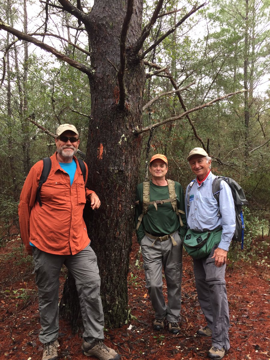 FriendsFLtrail's tweet photo. Carl Jenus, Keith, and I leaning against a monster sand pine on the Florida Trail, Elgin Air Force base #hikersunite #friendsofthefloridatrail #hikingtrailsforamerica  #GOhike https://t.co/U3V4zmgqq5