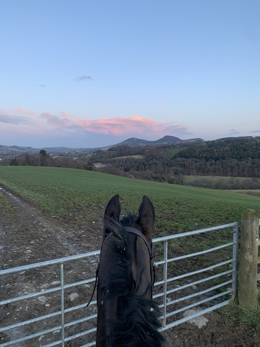 katysimpson1998's tweet photo. 6pm tonight - the best view after a busy day 😍 #lightnightsmakemehappy #headspace #bestwaytorelax https://t.co/rTPmvk22ET