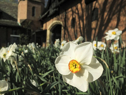 stanhywet's tweet photo. This sunny beautiful day has us thinkin' spring, so here are photos of last spring. We open for the 2020 season in 27 days, and we look forward to your visit. #springatStan #openingApr1 https://t.co/QILw0GNPOh