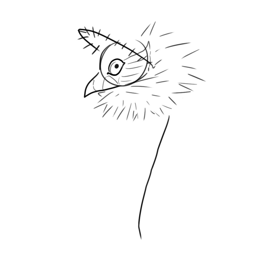 AnaArtRose's tweet photo. Eldritch God
#anaartrose_ocs #oc #ocs #originalcharacter #originalcharacters #character_design #characterdesign #characterdesigns #vulture #eldritch #god #eldritchmoon #vulture #kingvulture #bird #ref #designref #conceptart #concept #characterconcept #charactercreation https://t.co/Yfx3YBXBCO