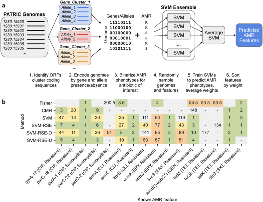UC San Diego Systems Biology (@ucsd_sbrg) on Twitter photo Machine learning reveals the genetic basis of drug resistance for three major pathogens: bit.ly/3aAny7r <a href="/PLOSCompBiol/">PLOS Comp Biol</a> <a href="/NIAIDNews/">NIAID News</a> Machine learning reveals the genetic basis of drug resistance for three major pathogens: bit.ly/3aAny7r <a href="/PLOSCompBiol/">PLOS Comp Biol</a> <a href="/NIAIDNews/">NIAID News</a>