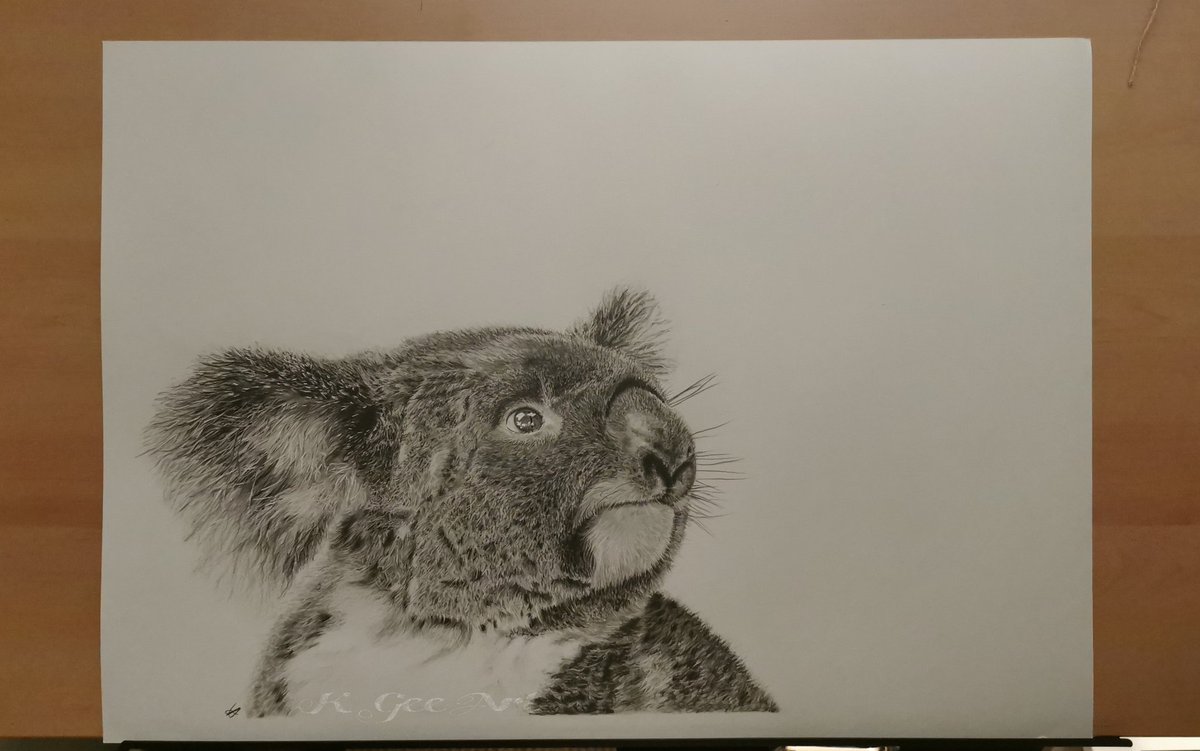 I think I'm done guys 🤔
.
. 
#thursdaythoughts #art #artist #koala #kgeeart