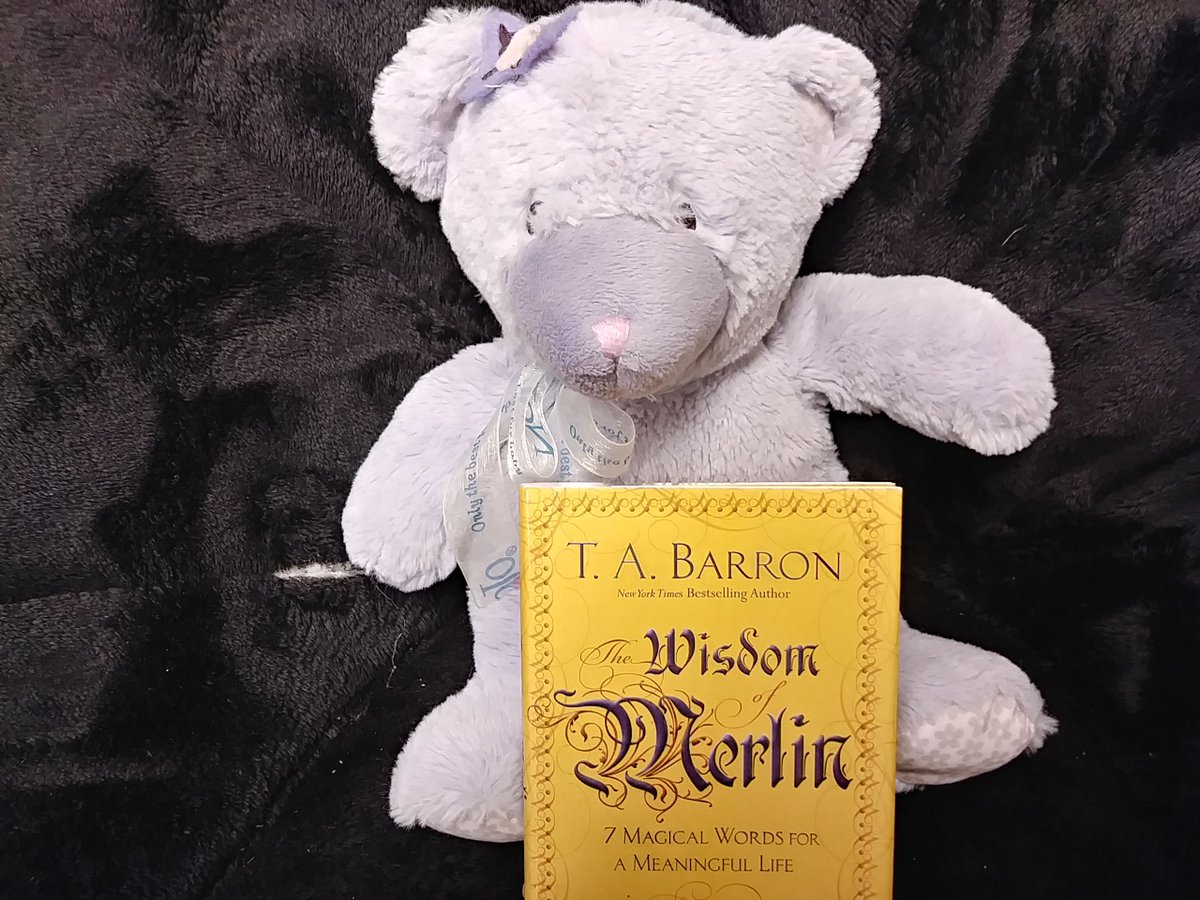 DeadTreeBooksSA's tweet photo. What did Lila Bear find to read today?  She found The Wisdom of Merlin, which says that the meaning of life and how to find it is only 7 words.  Which ones?  Lila says read the book. She also loves the purple pages and text. #LilaBearReads #Merlin #tabarron #shopsmall #sanantonio https://t.co/ySLsbGWLHo