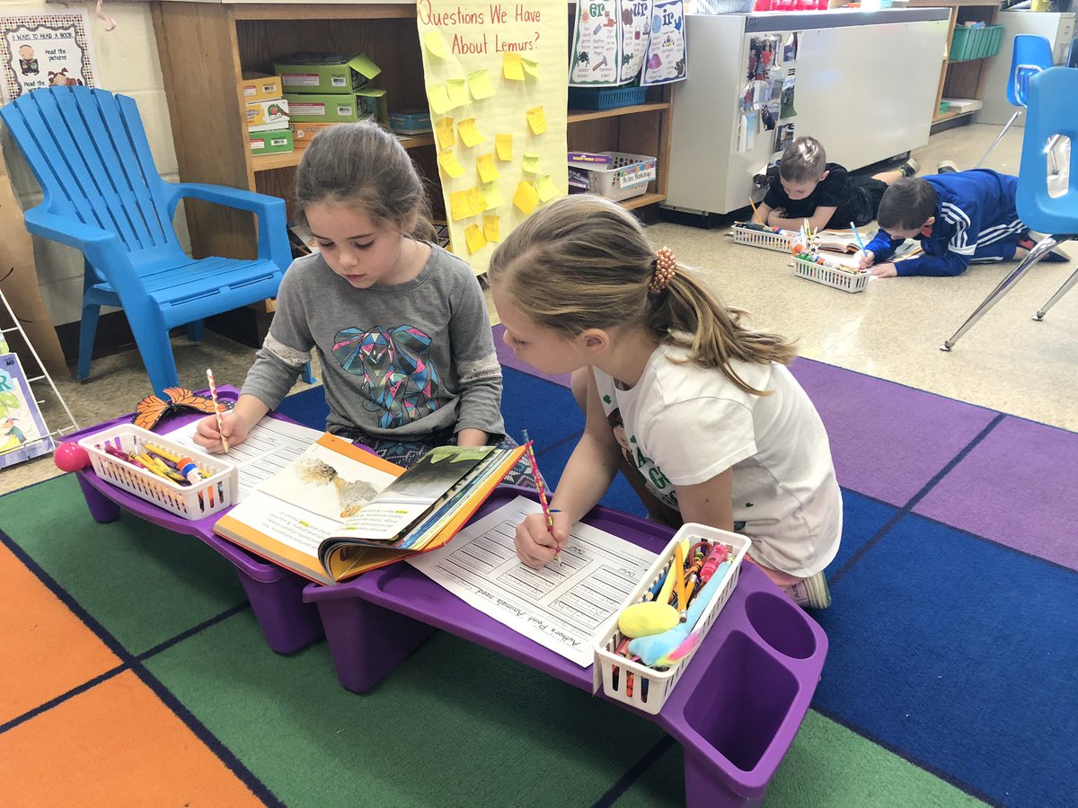 Laurie Collacchi tweet media