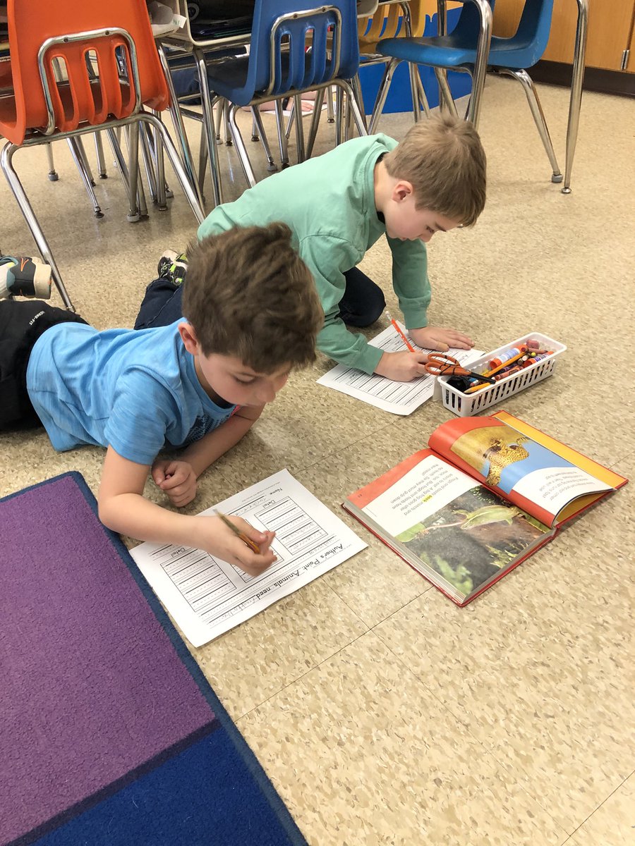 Laurie Collacchi tweet media