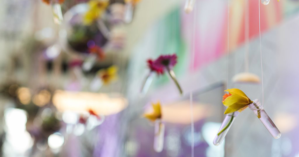 Wondering which companies will be at the Spring Fairgrounds Southern Ideal Home Show this year? Browse through the list here: bit.ly/3cgfPwX