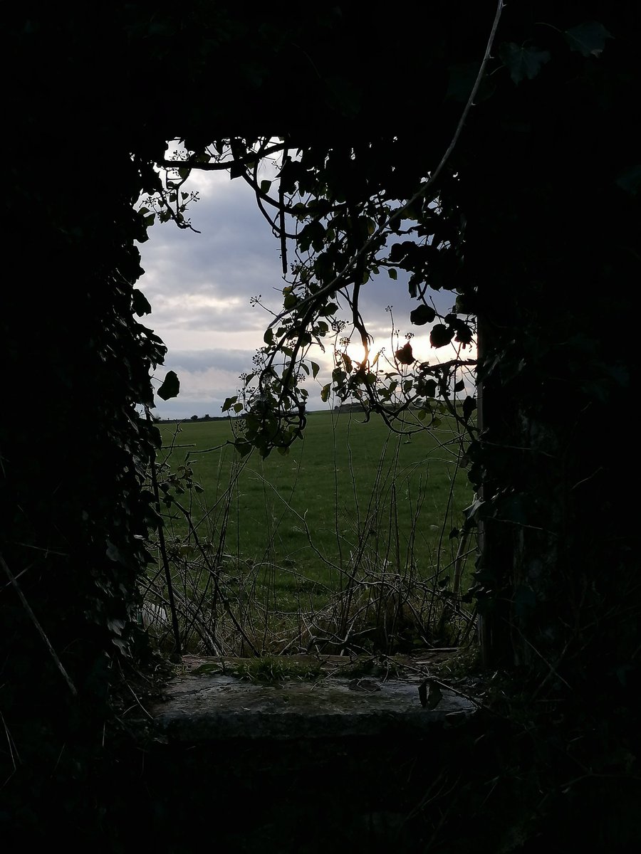 Irishshin's tweet photo. Days 63, 64 &amp; 65
#100daysofwalking #100daysofwalkingincork https://t.co/XKTe6hclsK