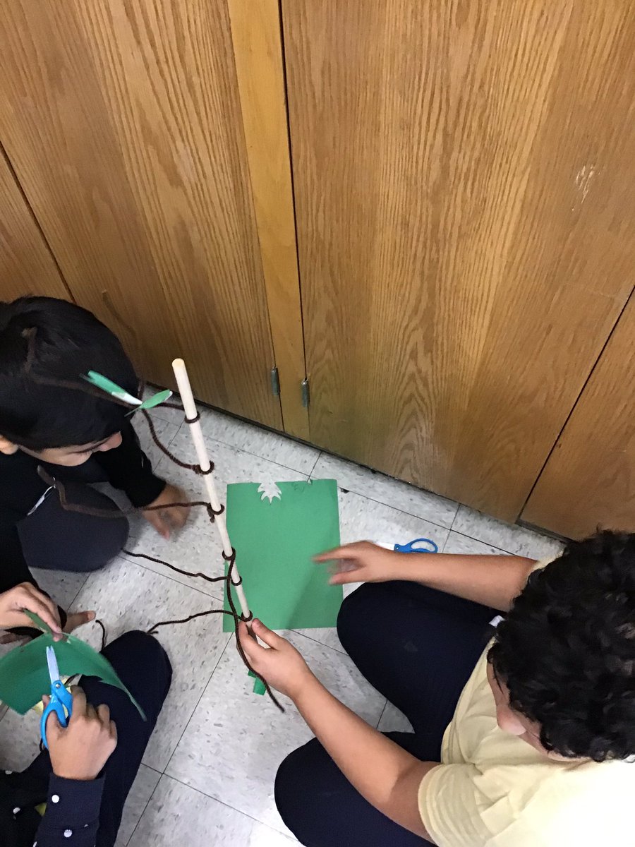 A beautiful,sunny day likes today makes me think back to our Structure and Function of Plants study #STEM.  4th graders <a href="/PS62ChesterPark/">PS62</a> #engineered model trees. We used a high powered light to mimic the Sun’s path &amp; observe the amount of energy absorbed.