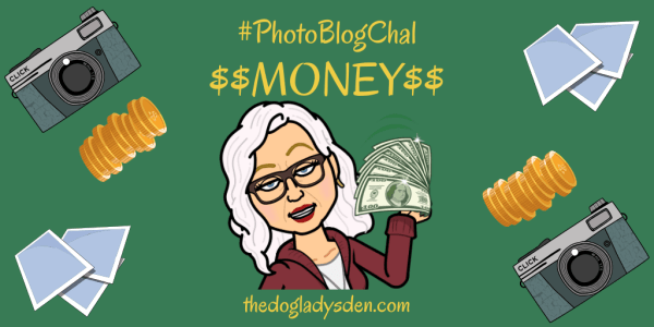 gaelynnwoods's tweet photo. MONEY, HONEY! #PhotoBlogChal https://t.co/Ma6OejMv4Z via @DebbieDoglady https://t.co/8Dmw7HqPGv