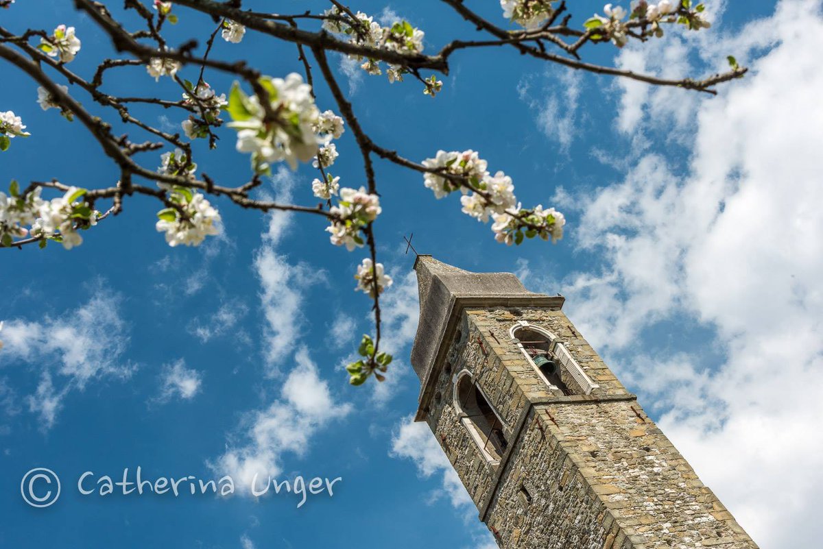 arbaspaa's tweet photo. 📍 Waiting for Spring time in Cinque Terre &amp; Liguria!
📷 Ph.: C. Unger https://t.co/FP9PWVOt2h