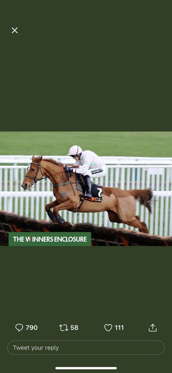 _BillyMercer's tweet photo. @TWEnclosure @BetVictorRacing 🐎✅ https://t.co/m46OLskh16