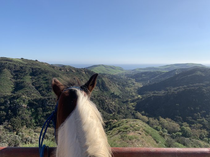 had fun at ucsb, went horse back riding, had micheladas, partied lol https://t.co/AFz526VIgk<a href="/tag/long"class="tags"><span>#long</span></a>