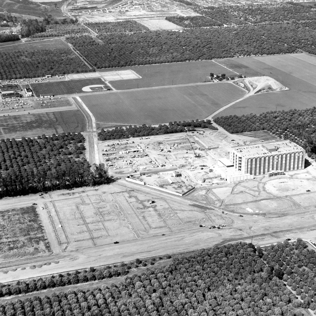 csufalumni's tweet photo. #ThrowBackThursday Take a look at Cal State Fullerton when it was just #McCarthy Hall, some orange trees, a baseball field in the distance... and a lot of potential! Did you know #CSUF was farm land before all our buildings were built?
#FullertonTitans #ItTakesATitan #CSUFalumni https://t.co/rZEoS3F1Tf