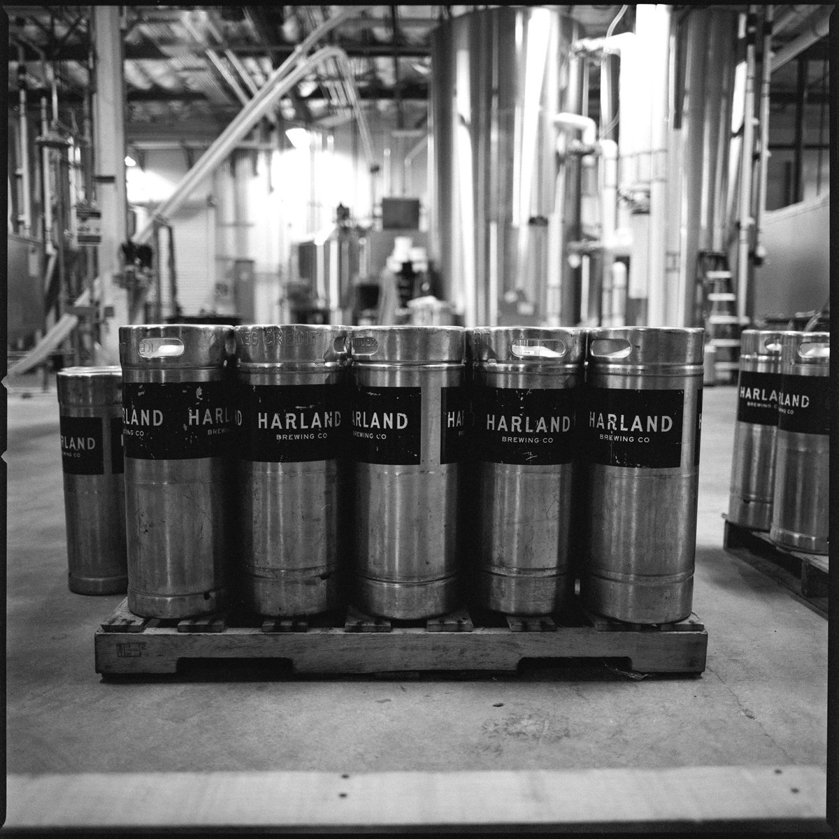 analogfilmphoto's tweet photo. At the Brewery,
Hasselblad 2003fcw / 50mm FE
Ilford HP5 at 3200
#squareshots #ilfordphoto #fridayfavourites https://t.co/l5cHY4u3Td