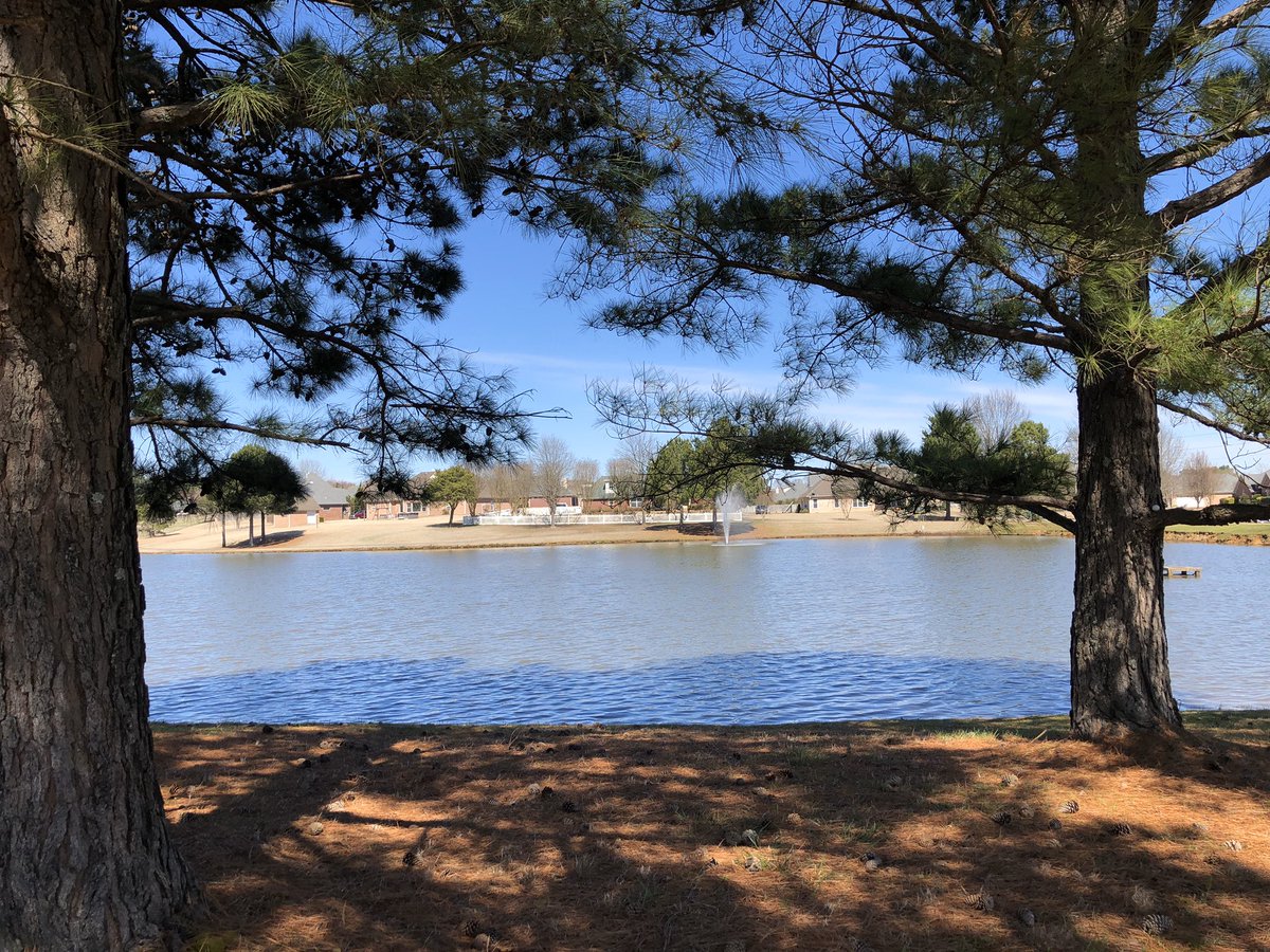 Chery1Goodwin's tweet photo. Pond here at Forest Hill Estates today. ๐๐ผ โค๏ธ this weather! #SpringBreakEve https://t.co/akOROE7ibQ