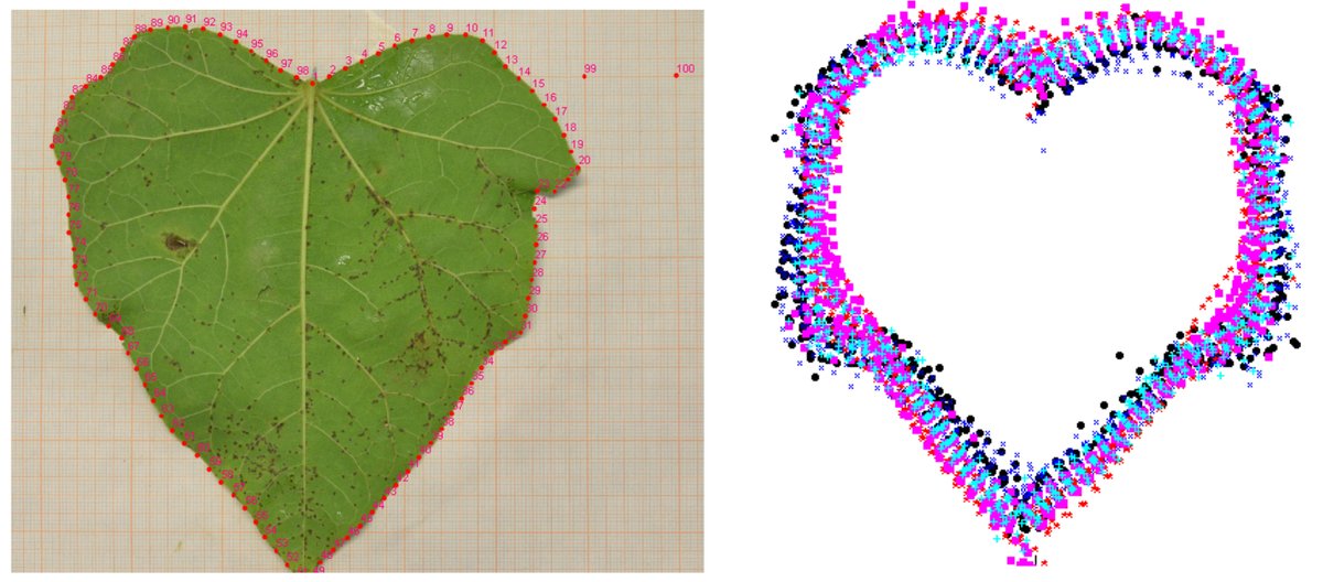 ActaBotMex's tweet photo. Acta Botanica Mexicana 127: e1640 (2020).

Integrando análisis morfométricos y filogenéticos: de la sistemática fenética a la morfometría filogenética

DOI: https://t.co/TBxvdPhlvv

#análisis #multivariados, #filogenia, #forma, #marcas, #morfometría #geométrica #PlantScience https://t.co/6xzk8pYMlM