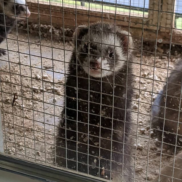 Sandy Hogan tweet media