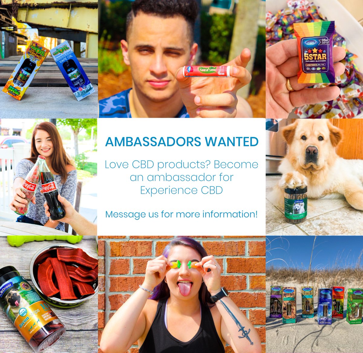 experience_cbd's tweet image. Love CBD?  We are looking for Ambassadors! Message us for more info or click the link for a form! 
experiencecbd.com/pages/cbd_infl…
🍃
#ambassadorswanted #ambassador #cbdmodel#cbd #cbdoil #petproducts #cbdskincare  #edibles #cannabis #cbdambassador #petlovers #doglovers #catlovers #vape