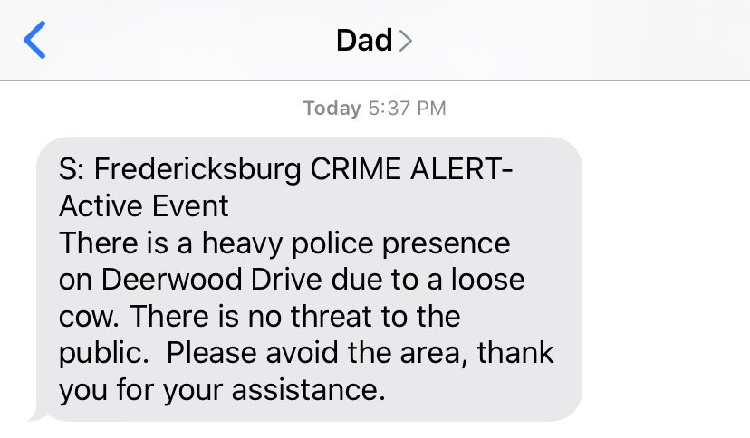 JessHoover3's tweet photo. @MyFavMurder Got a crime alert and thought I would finally have a good hometown story, but it was just a “loose cow” https://t.co/Lu6g7SiSuY