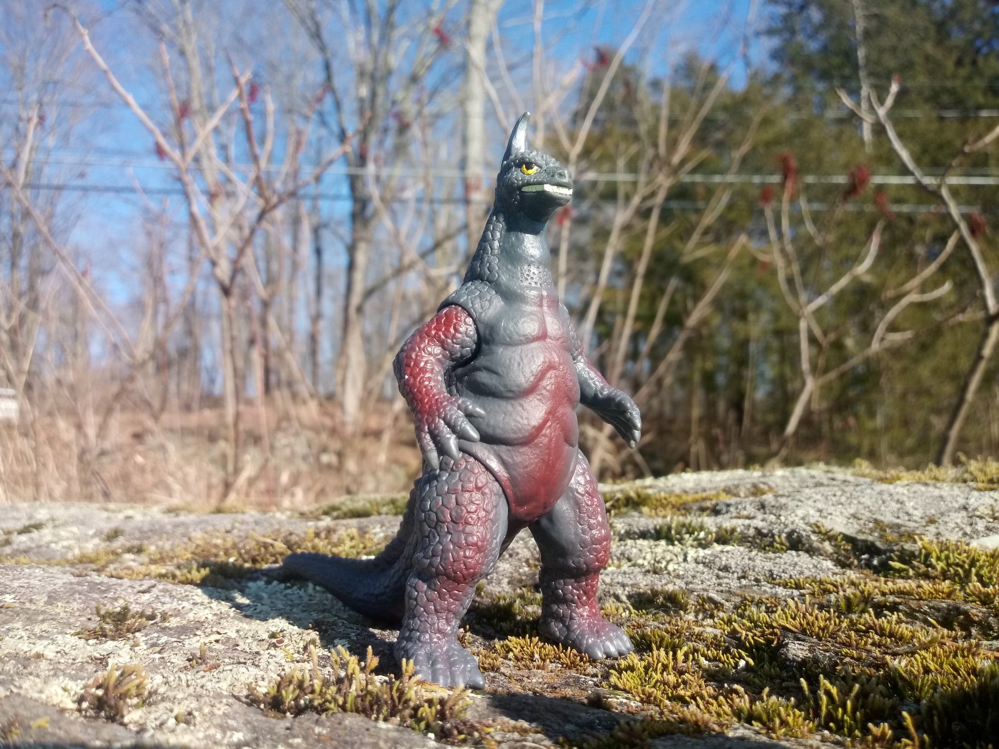 MoonShark #TeamBarossa on Twitter: