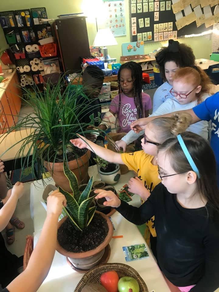 AthensCitySch's tweet photo. Students are having a blast learning about plants in 2nd grade. #inglesiderocks #ExcellenceIs https://t.co/qT8M0EK4g6