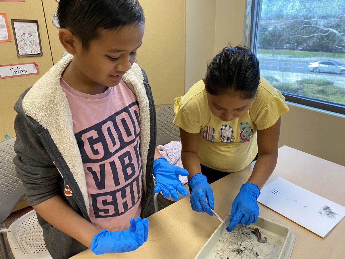 db_dolphins's tweet photo. Spending a week thinking outside the box, Danbrook’s 5th graders love spending a week at the Tiger Woods Learning Center @TigerWoods @TGRFound #Scientists4Future #STEM #STEMeducation #danbrook #danbrookdolphins #itsagreatdaytobeadolphin https://t.co/6wxVxibBj1