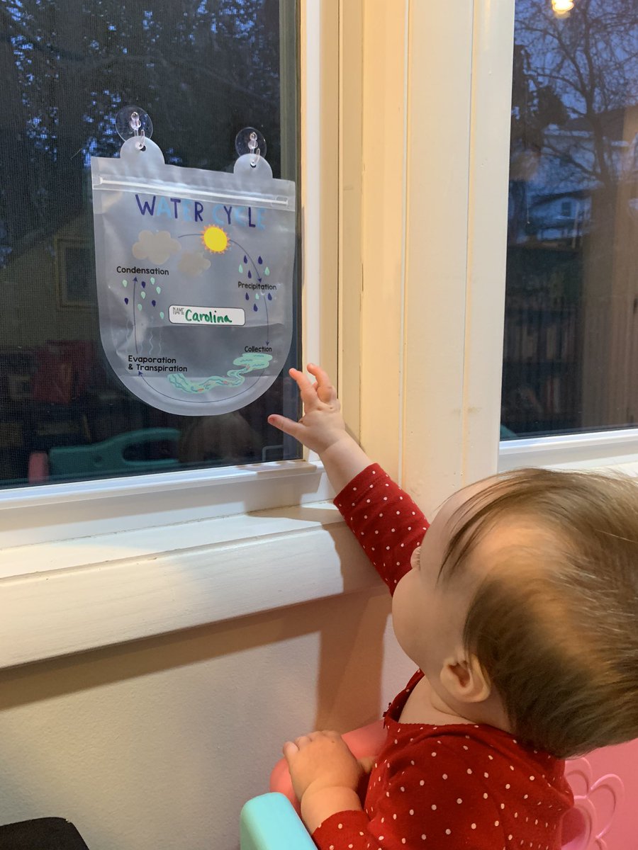 Geogalinis's tweet photo. Excited to learn about the water cycle at home! #science #startthemyoung #STEMbaby https://t.co/LXEaouX1MY