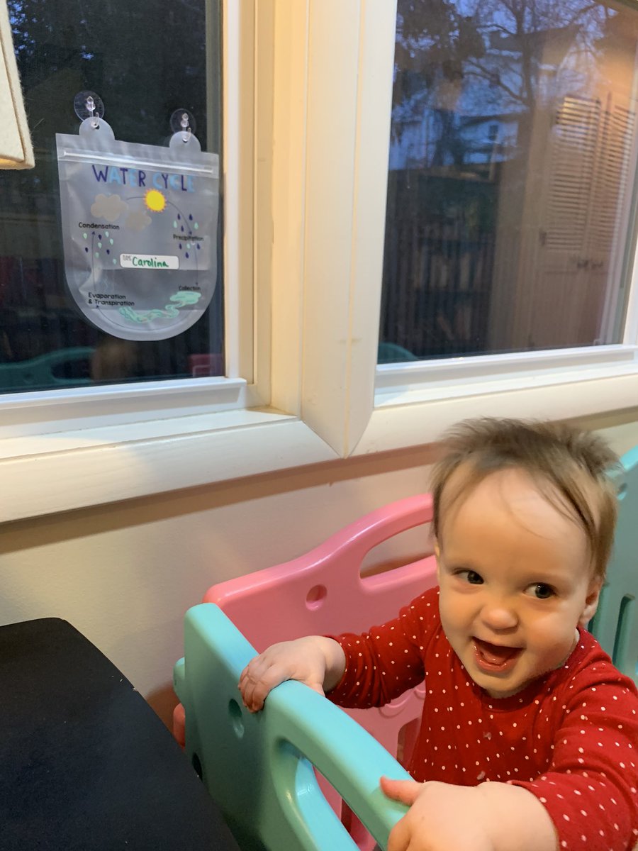 Geogalinis's tweet photo. Excited to learn about the water cycle at home! #science #startthemyoung #STEMbaby https://t.co/LXEaouX1MY