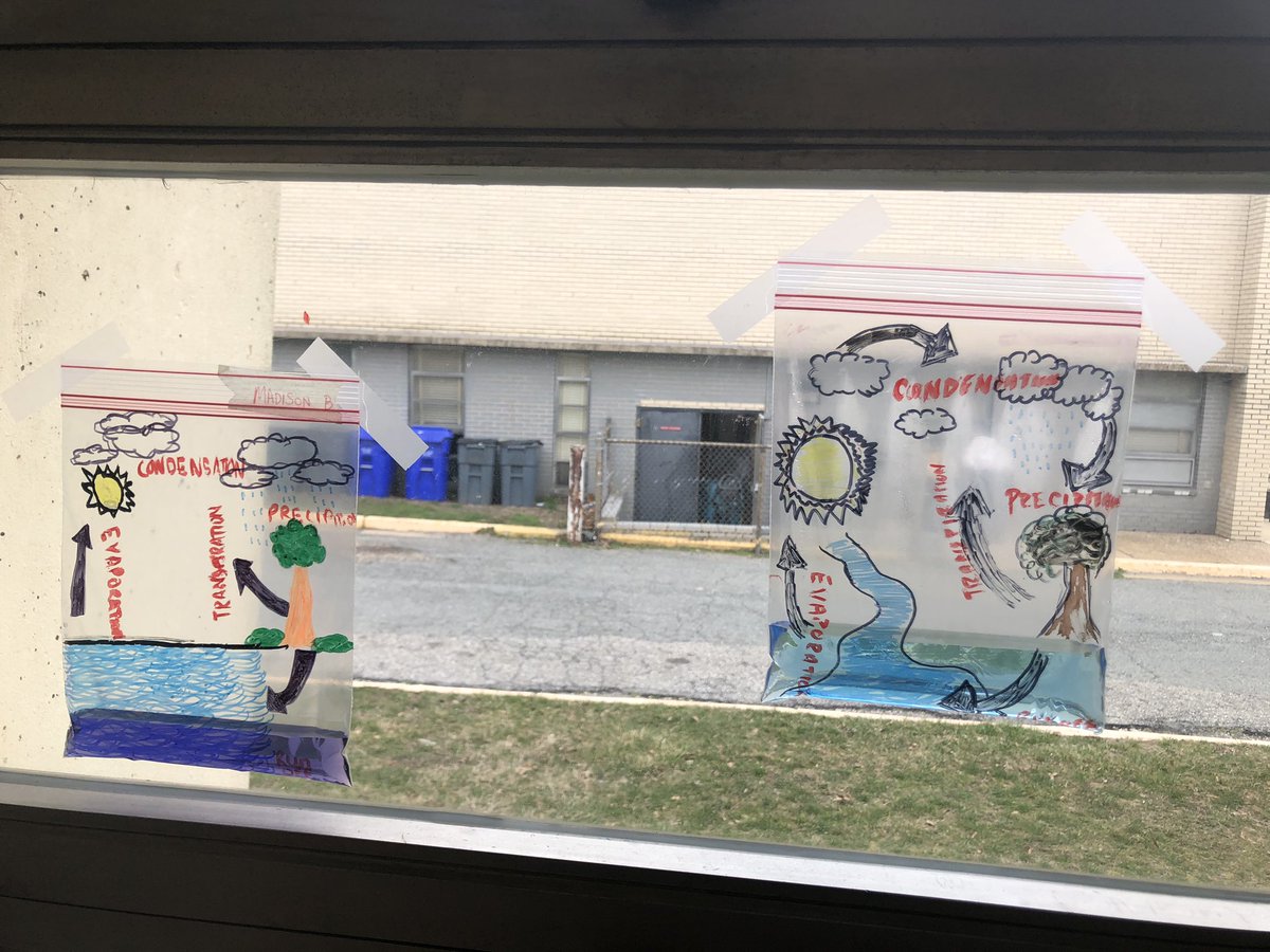 FaulconsFinding's tweet photo. (Not great photos) Today students created “The Water Cycle”in a bag. Throughout the week they will be able to observe the water cycle in action ! @Drew_Freeman_MS #LearnThroughDoing https://t.co/4xVAixYKaZ