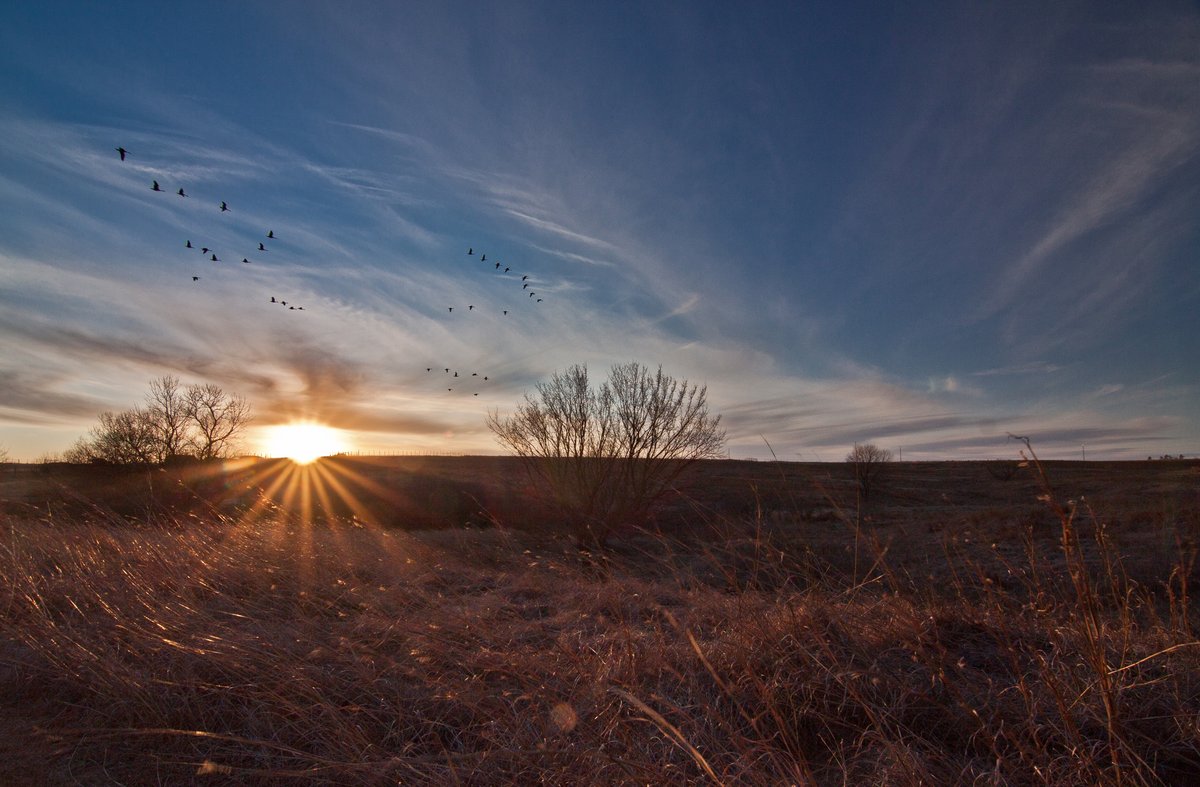 LnkParksRec's tweet photo. The Prairie Corridor on Haines Branch will restore the tallgrass prairie to provide a trail between PPNC and Spring Creek Prairie Audubon Center, which only 2% of the tallgrass is left in this area. #LNK

You can support this at: https://t.co/qVU35a1eBF for only $1 a month! https://t.co/L0otZzGUh2