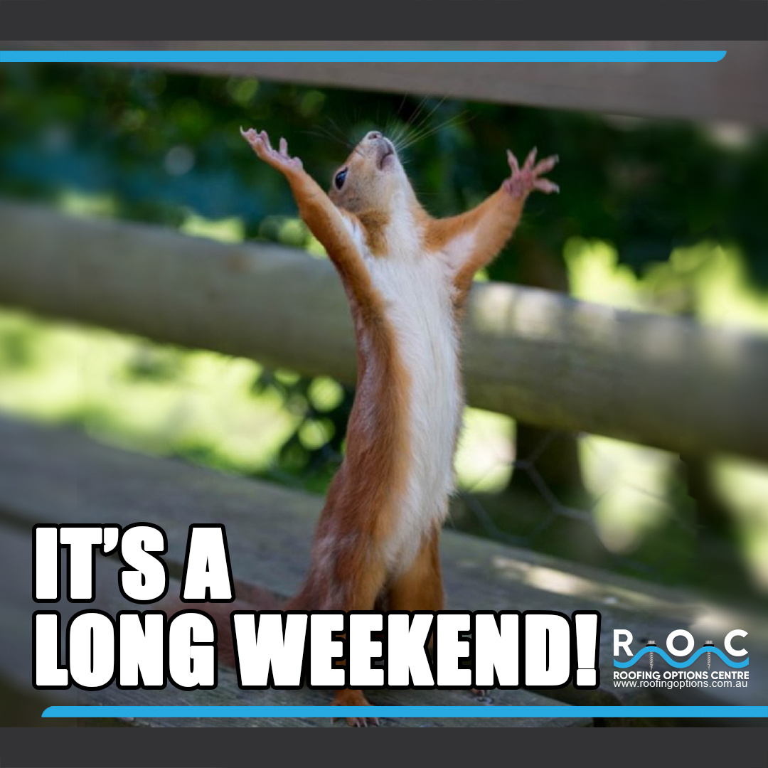 Roofing_Options's tweet photo. Buckle Up People...👍😀
#longweekend #longweekendvibes #roofingoptionscentre #roofingoptions #ROCTV #colorbond #colorbondroof #colorbondsteel #bluescopesteel #colorbondroofing #polycarbonate #polycarb #pergola #raisedgardenbeds https://t.co/5j16Zl2NDv