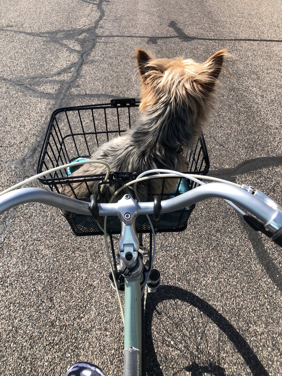 MelDahl03's tweet photo. #Mentalhealth challenges are like the hills I ride. Sometimes I have to go slow but remember that I’m still peddling. The both have taught me important lessons:
-life is precious, hold onto it
-focus only on what I want
-keep riding the hills

Turtle is my #RideOrDie 🤣 https://t.co/fTCQ9MjRUv