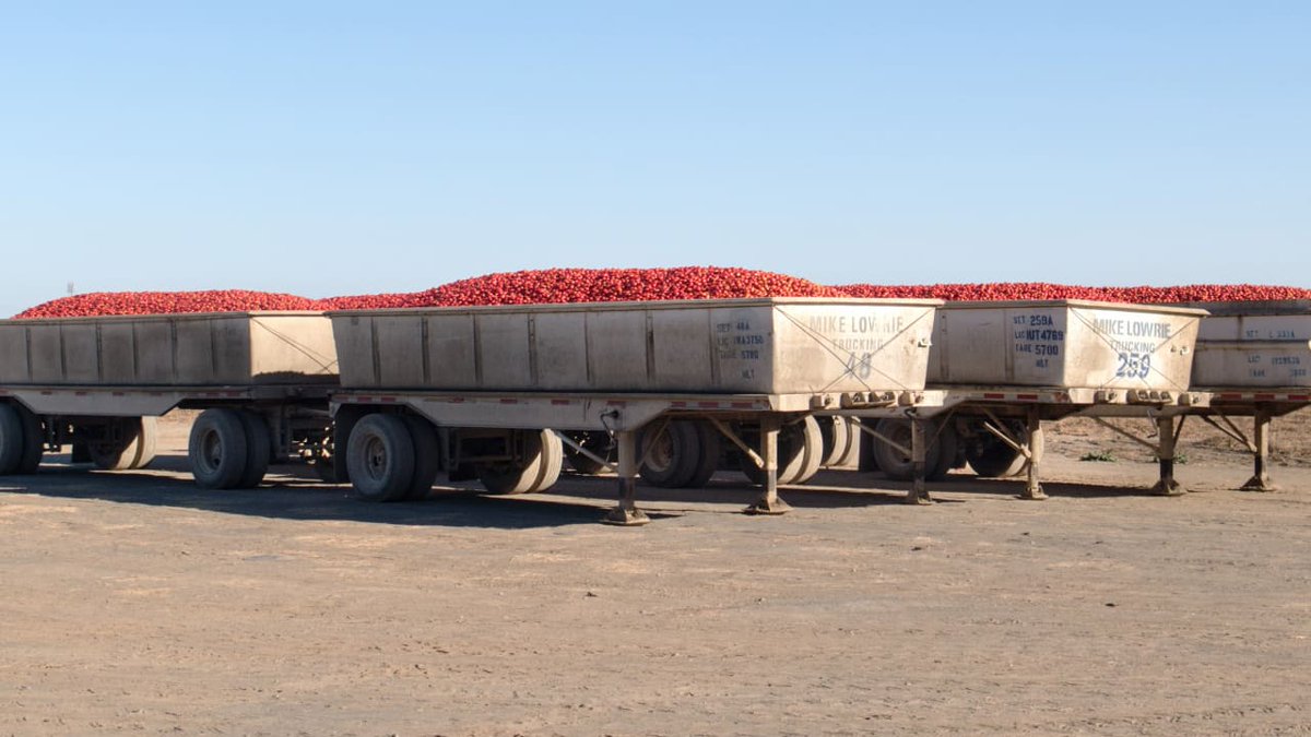 flexisAG's tweet image. The first map of America’s food supply chain is mind-boggling bit.ly/2TqcYdm #supplychain #maps #logistsics