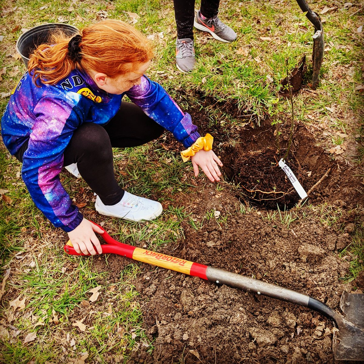 lesgifted's tweet photo. Yesterday Earthtastic Gardeners worked with out Tree Lady, Symsi Denson, to plant the beginnings of a small fruit orchard in the Earthtastic Sustainability Lab: elderberry, blackberry, black plum and persimmon. Symsi generously provides trees and expert guidance. @Landstown_ES https://t.co/QwIpz5aPd3