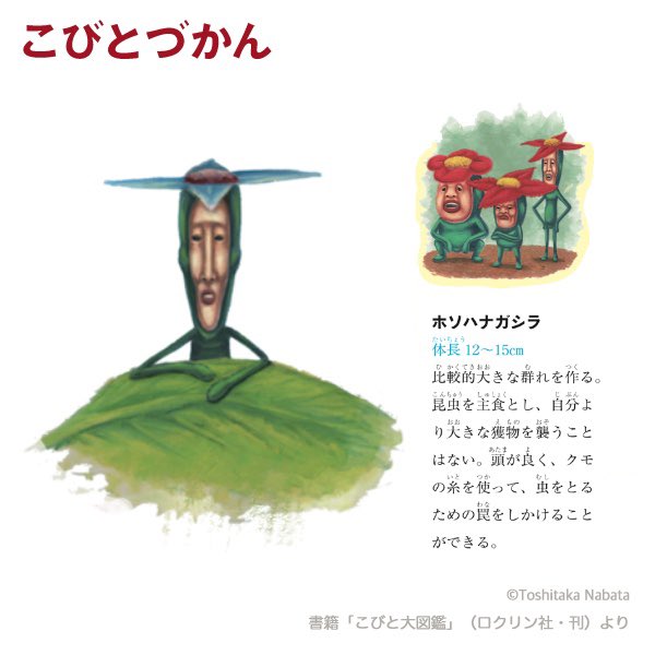 こびとづかん　リトフハナガシラ Amazon | こびとづかん セット カクレモモジリ リトルハナガシラ