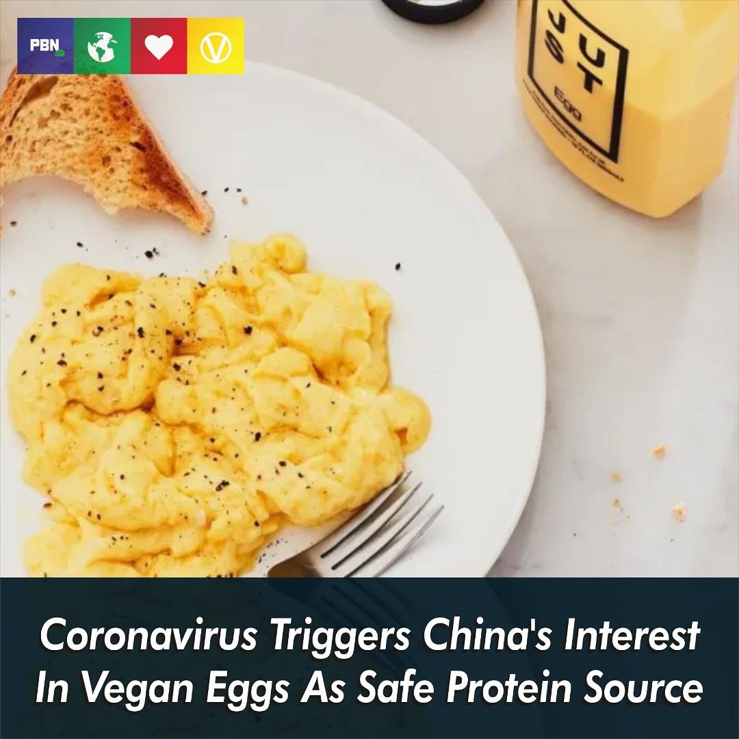 Article by <a href="/PlantBasedNews/">Plant Based News</a>

Chinese state-backed food companies are seeking out safe, animal-free protein options in the wake of the coronavirus, according to reports.

#Vegan #VeganEggs #VeganFood #China #VeganChina #Coronavirus #PlantBased