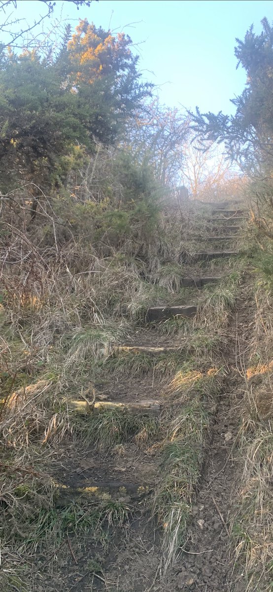 Got an 8 mile run in today. It was such a beautiful day compared to the weather we’ve been having.   Took some pics to share. I’m doing the plank challenge with <a href="/MelindaHoward4/">Melinda Howard</a>   Had a lovely walk with my dog Lily &amp; relaxed tonight playing my cello.  Altogether a lovely day