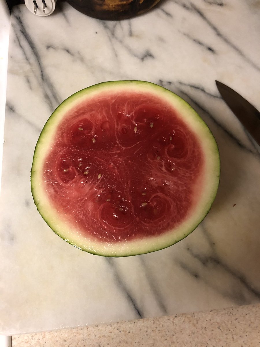 Thanks for the rotten watermelon <a href="/sproutsfm/">Sprouts</a> ☹️😩