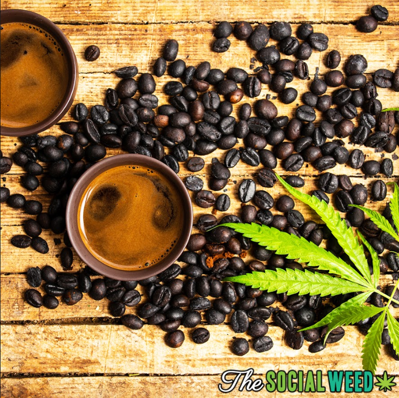 Today is national pancake day. Nothing goes better with pancakes than a hot cup of coffee. Cook up some flapjacks while trying out this hot recipe! thesocialweed.com/recipes/ganja-…

#TheSocialWeed #LetsGetSocial #Its420Somewhere #ThirstyThursday