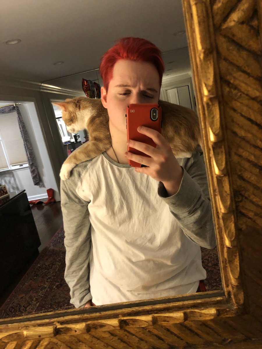 theo_rochlin's tweet photo. @scumboyyy @thewordwasgay Theo, he/him, (almost) 21.
I struggle with BPD, PTSD, MDD, anxiety, & gender dysphoria
#MentalHealthMatters #MentalHealthAwareness #LGBTStrong https://t.co/b0pRsV4oy2