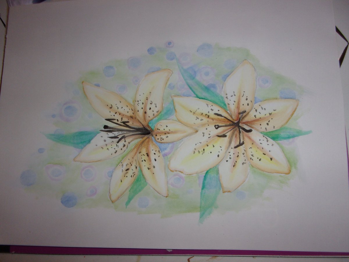 <a href="/ashesnghost/">ashes</a> Hello, I'm Elsa. I do traditional art, mostly animals and nature 🌿  (opening commissions for #petportraits soon!!)